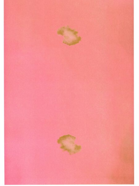 Poster "Wall of Fame" - Atelier oasp