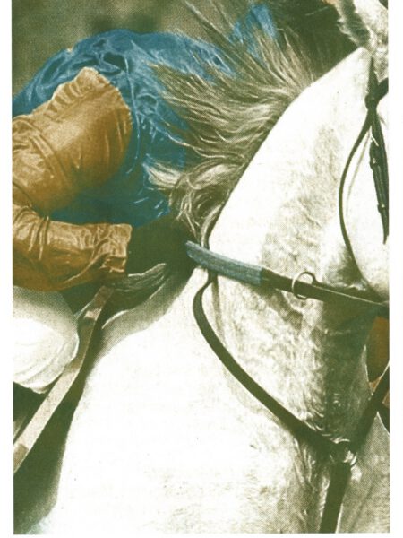 Poster "Wall of Fame" - Raphaël Van Lerberghe